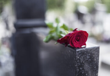 Rose on tombstone. Red rose on grave. Love - loss. Flower on memorial stone close up. Tragedy and sorrow for the loss of a loved one. Memory. Gravestone with withered rose